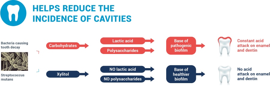 illustration showing xylitol blocks polysaccharides and lactic acid production