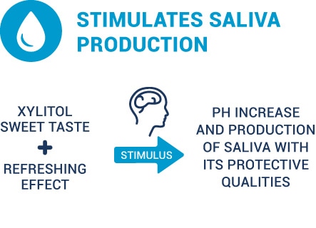 illustration showing how xylitol helps saliva production