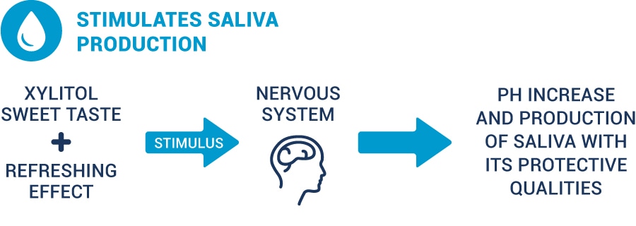 illustration showing how xylitol helps saliva production