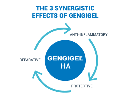 3 synergistic effects of gengigel: reparative, anti-inflammatory and proctective