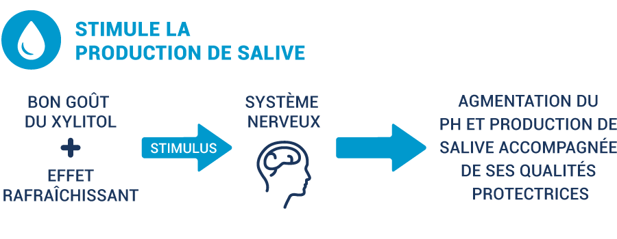 illustration showing how xylitol helps saliva production