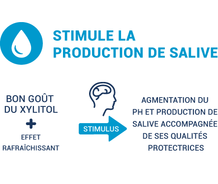 illustration showing how xylitol helps saliva production