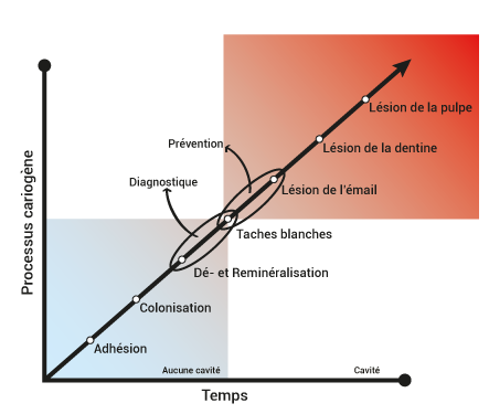 graph showing when caries can be remineralized