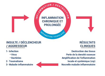 chronic and prolonged inflammation graphic